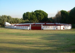 plaza para las capeas